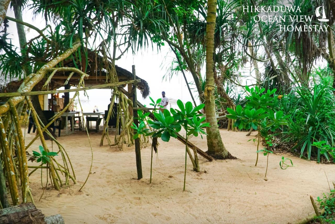 Hikkaduwa Ocean View Homestay Εξωτερικό φωτογραφία