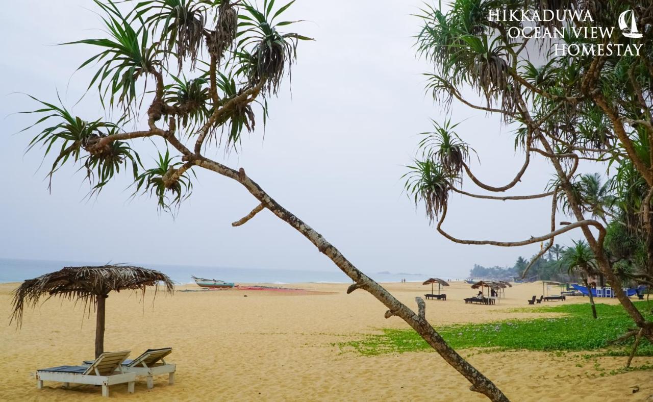 Hikkaduwa Ocean View Homestay Εξωτερικό φωτογραφία